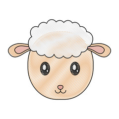 cartoon sheep icon over white background vector illustration