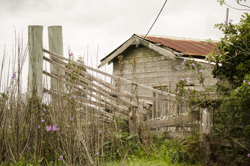Deserted old wooden farm house