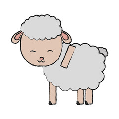 cartoon sheep icon over white background vector illustration