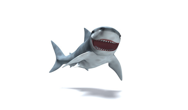 Requin rigolo