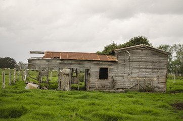 Fototapeta na wymiar Deserted old wooden farm house