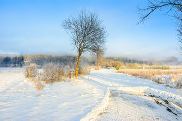 Winter landscape with snow on road in countryside and blue sky over forest in the morning fog, white christmas concept