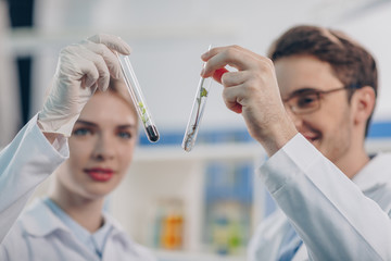 biologists looking at flasks with plant