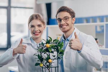 biologists with lemon plant