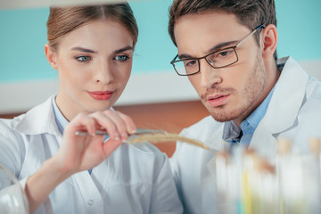 biologists working in laboratory