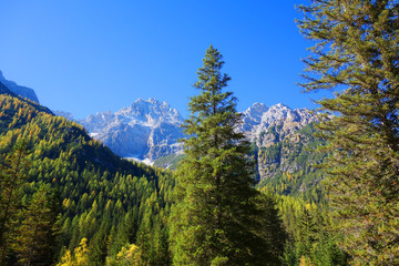 Tiroler Berge