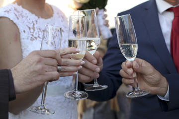 Friends drinking white wine