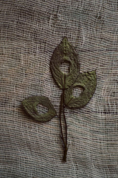leaves