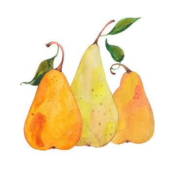 watercolor three pears