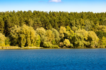 forest by the lake in the open air