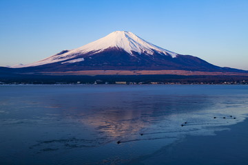冬の富士山と水鳥たち、山中湖にて