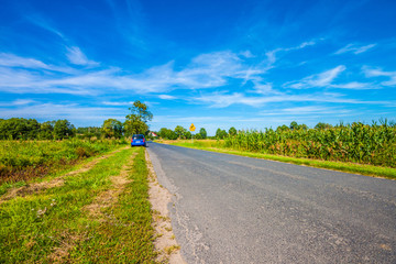 Country road. Poland