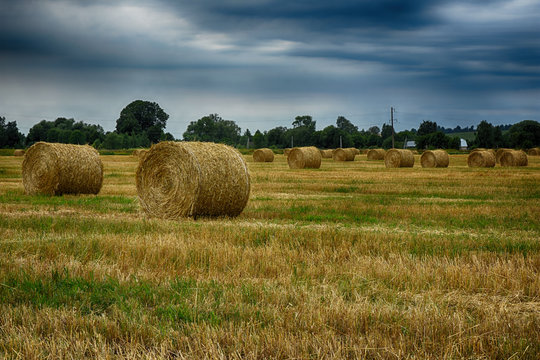 field 1. russia © sergey