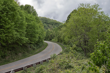 Curvy mountain road