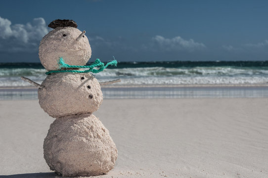 Tropical Christmas