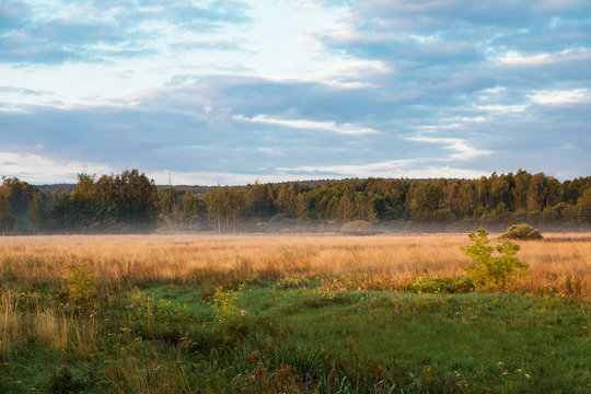 Countryside in Poland