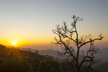 Fototapeta na wymiar Beautiful Sun rise in Thailand, Chiangmai