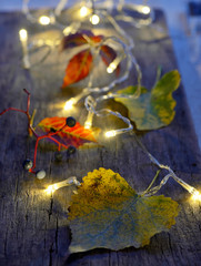 Autumn leaves on wooden board