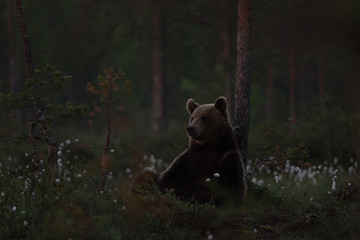 Relaxing