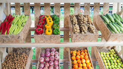 Fresh vegetables Three sweet Red, Yellow, Green Peppers and chili peppers in baskets at market, Shopping vegetables concept background 
