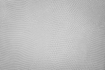 Snakeskin Imitate in Grey Color as silent White and Grey Texture