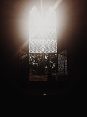 Window light