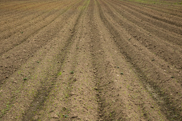 A brown field with ploughed rows of dirt