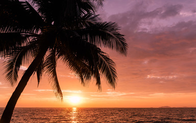 Silhouette coconut palm trees on beach with sunset sky. Vintage tone.summer concept background. Travel concept.