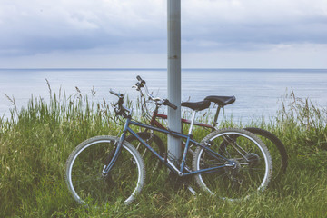 Obraz premium Together