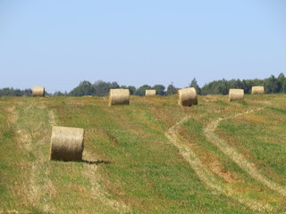 The farmers have worked. Hay. Autumn field. (The Vast Russia! Sergey, Bryansk.)