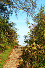 Fototapeta premium Idyllic and natural trail to the beach on the island of Poel, Baltic Sea, Germany.