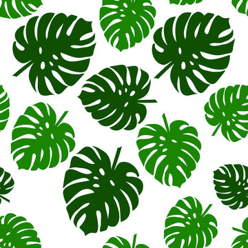 Palm seamless pattern. Monstera leaves. Tropical leaves seamless background © Aygun