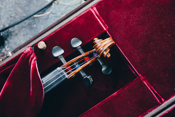 The scroll of a violin in a red velvet case