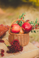 Apples in the basket close-up