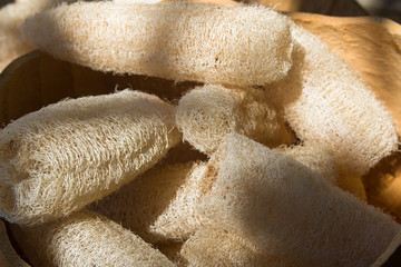 exhibition of pumpkins