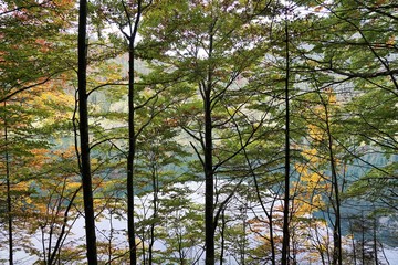 Wanderung am Hintersteiner See in Österreich im Herbst 