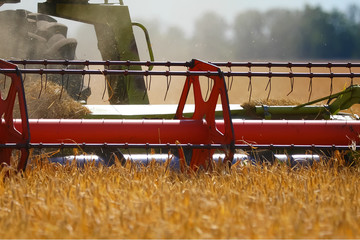 combine harvester on a wheat field. Combine working on a wheat field. Combine harvester in action...