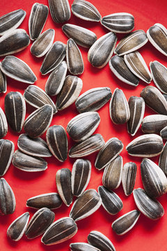 Sunflower seeds