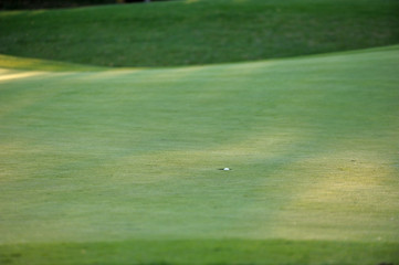 Fototapeta premium Hole in one. Golf ball disappearing in the hole.