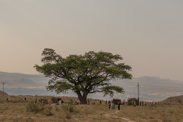 African community meeting under a tree.