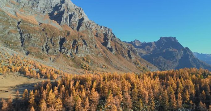 side aerial over alpine mountain valley and orange larch forest woods in sunny autumn.Europe Alps outdoor colorful nature scape mountains wild fall establisher.4k drone flight establishing shot