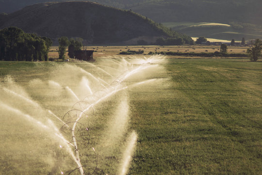 Irrigation of green farmland at sunset