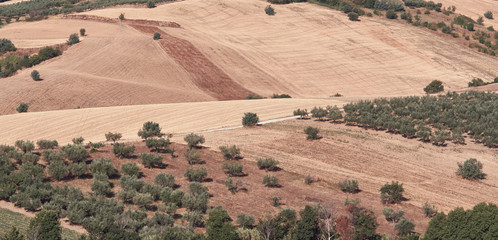 Obraz premium Agricultural landscape, hills of Abruzzo, Italy