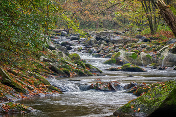 Mountain stream with mossy rocks