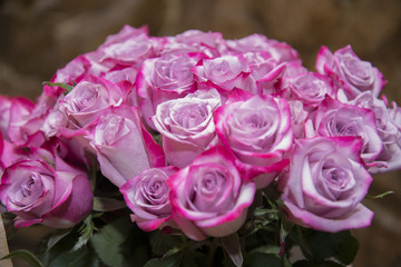 A big beautiful bouquet of fresh red roses.