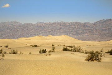 Mesquite Flat Sand Dunes in Death Valley, California 