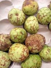 Cherimoya (also written by Cherimoya) Fruit is displayed on the local market in Spain. This delicious fruit is also referred to as Annona. The fruit has white flesh and black seeds