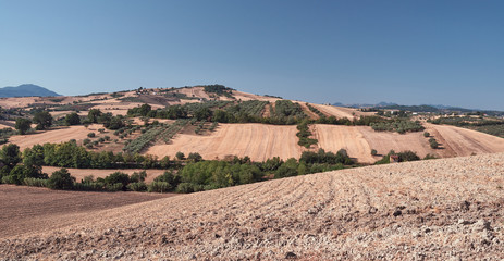 Agricultural landscape, hills of Abruzzo, Italy