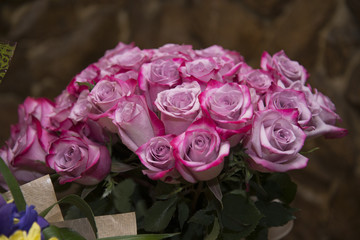 A big beautiful bouquet of fresh red roses.