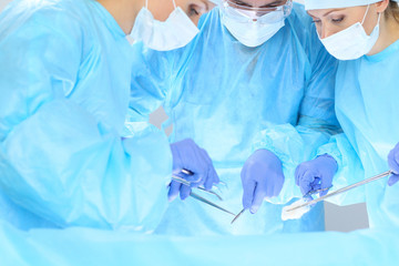 Group of surgeons at work while operating at hospital. Health care and veterinary concept